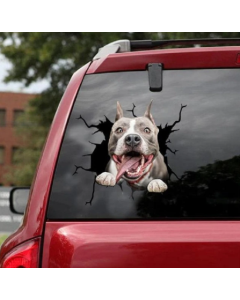Car Sticker - Dogge
